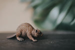 Load image into Gallery viewer, CollectA Figurine - Beaver - The Little Je'EL.Co