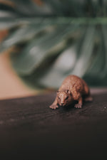 Load image into Gallery viewer, CollectA Figurine - Beaver - The Little Je'EL.Co