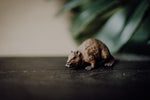 Load image into Gallery viewer, CollectA Figurine - Beaver - The Little Je'EL.Co