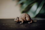 Load image into Gallery viewer, CollectA Figurine - Beaver - The Little Je'EL.Co