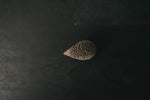Load image into Gallery viewer, CollectA Figurine - Hedgehog - The Little Je'EL.Co