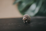 Load image into Gallery viewer, CollectA Figurine - Hedgehog - The Little Je'EL.Co
