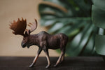 Load image into Gallery viewer, CollectA Figurine - Moose - The Little Je'EL.Co