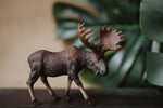 Load image into Gallery viewer, CollectA Figurine - Moose - The Little Je'EL.Co