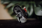 Load image into Gallery viewer, CollectA Figurine - Turkey - The Little Je'EL.Co