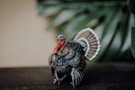 Load image into Gallery viewer, CollectA Figurine - Turkey - The Little Je'EL.Co