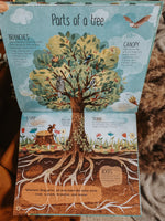 Load image into Gallery viewer, The Magic and Mystery of Trees