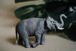 Load image into Gallery viewer, CollectA Figurine : Asian Elephant