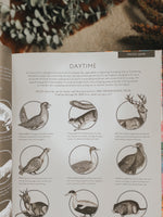 Load image into Gallery viewer, Illuminature: Discover 180 Animals with Your Magic Three Colour Lens