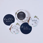 Load image into Gallery viewer, Safari & Navy - Reversible Milestone Cards - The Little Je'EL.Co