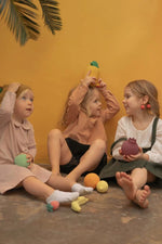 Load image into Gallery viewer, RADUGA GREZ Fruits Set Vol. 1