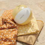 Load image into Gallery viewer, Mitch Beach Ball