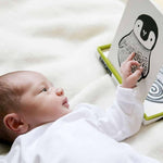 Load image into Gallery viewer, Art Cards For Baby - Jungle - The Little Je'EL.Co