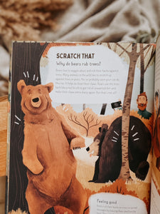 Do Bears Poop In The Wood?