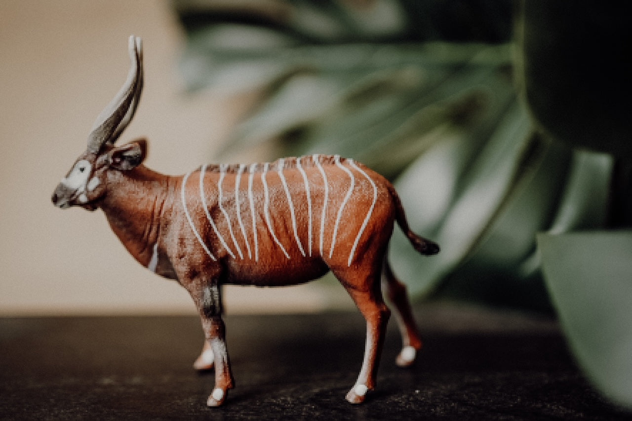 CollectA Figurine - Bongo Antelope - The Little Je'EL.Co