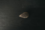 Load image into Gallery viewer, CollectA Figurine - Hedgehog - The Little Je&#39;EL.Co
