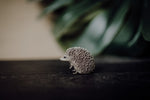 Load image into Gallery viewer, CollectA Figurine - Hedgehog - The Little Je&#39;EL.Co
