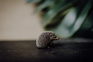 CollectA Figurine - Hedgehog - The Little Je'EL.Co