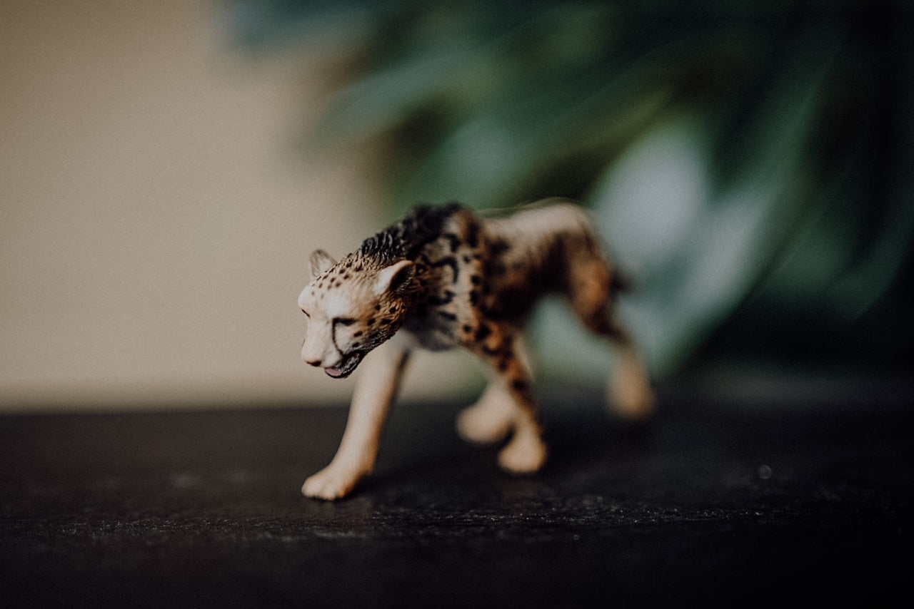 CollectA Figurine - King Cheetah - The Little Je'EL.Co