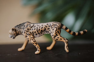 CollectA Figurine - King Cheetah - The Little Je'EL.Co