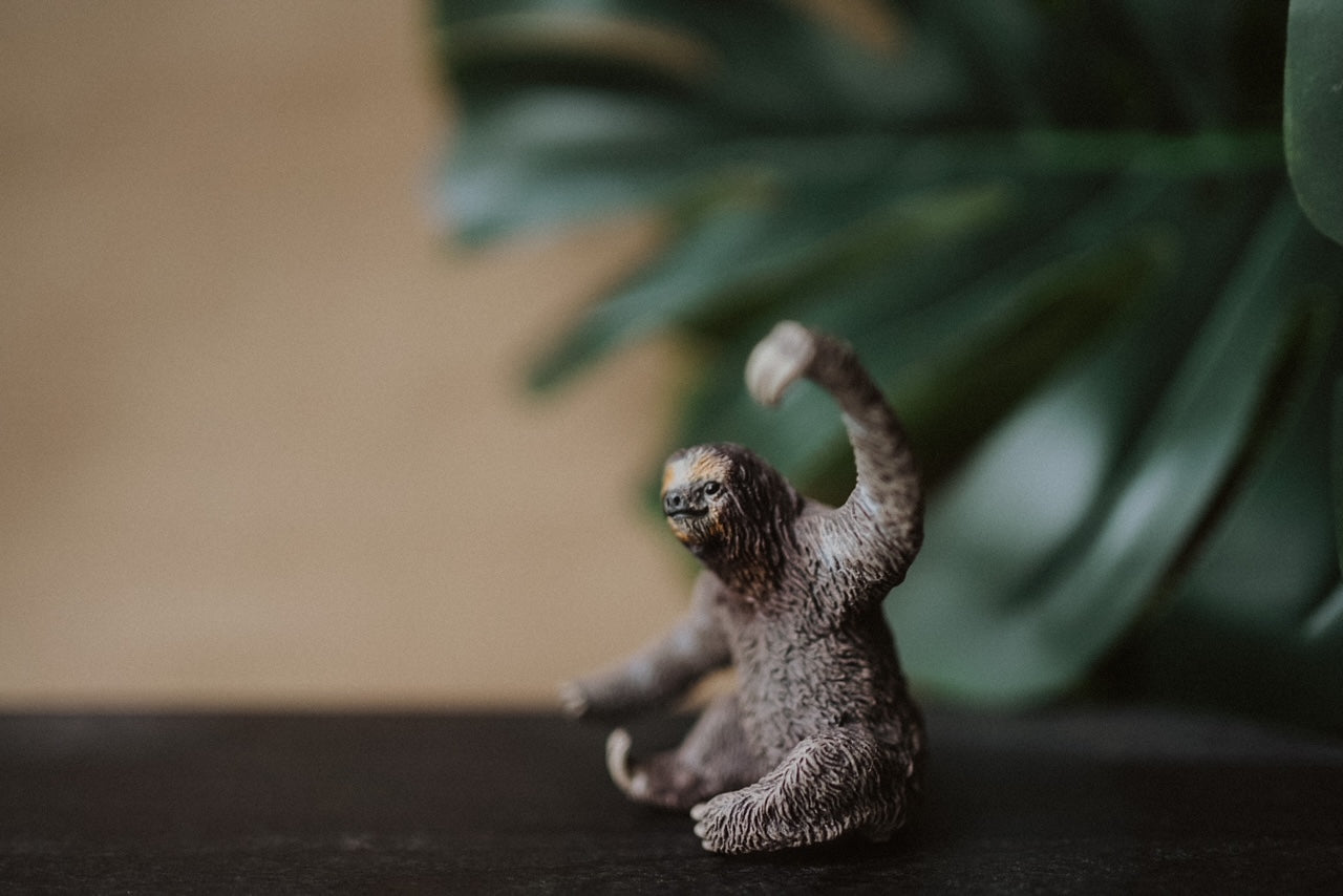 CollectA Figurine - Sloth - The Little Je'EL.Co