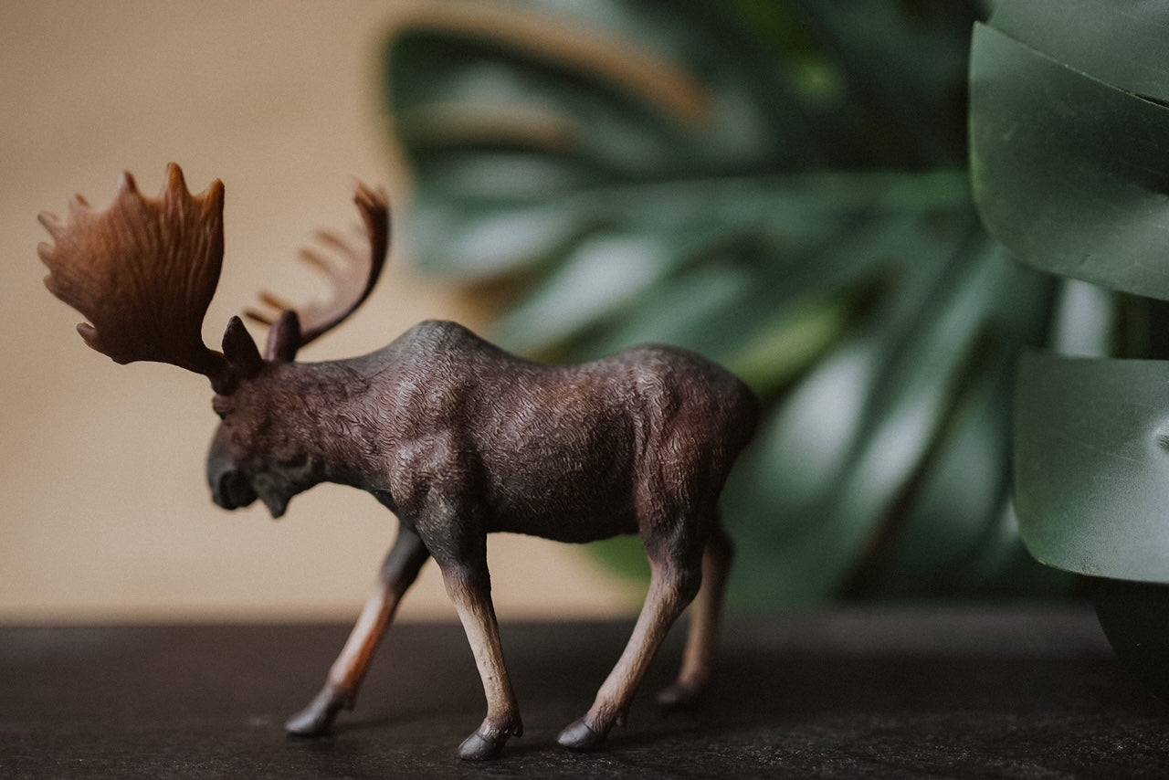 CollectA Figurine - Moose - The Little Je'EL.Co
