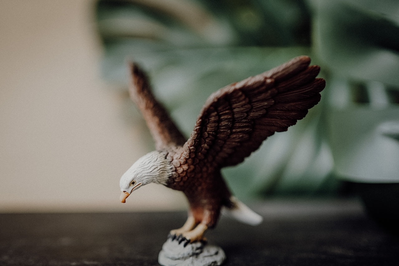 CollectA Figurine - American Bald Eagle - The Little Je'EL.Co