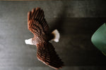 Load image into Gallery viewer, CollectA Figurine - American Bald Eagle - The Little Je&#39;EL.Co

