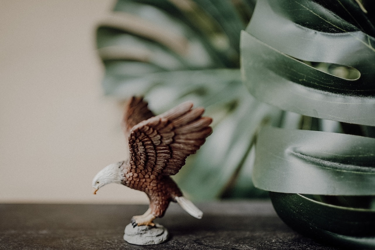 CollectA Figurine - American Bald Eagle - The Little Je'EL.Co