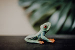 Load image into Gallery viewer, CollectA Figurine - Red-Eyed Tree Frog - The Little Je&#39;EL.Co
