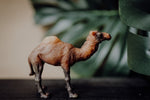 Load image into Gallery viewer, CollectA Figurine - Dromedary Camel - The Little Je&#39;EL.Co
