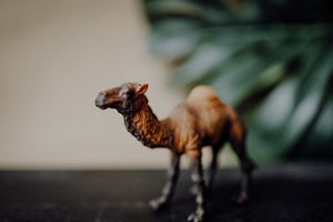 CollectA Figurine - Dromedary Camel - The Little Je'EL.Co
