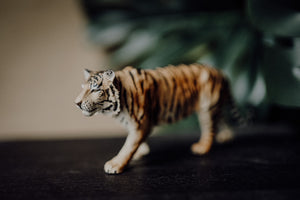 CollectA Figurine - Siberian Tiger - The Little Je'EL.Co