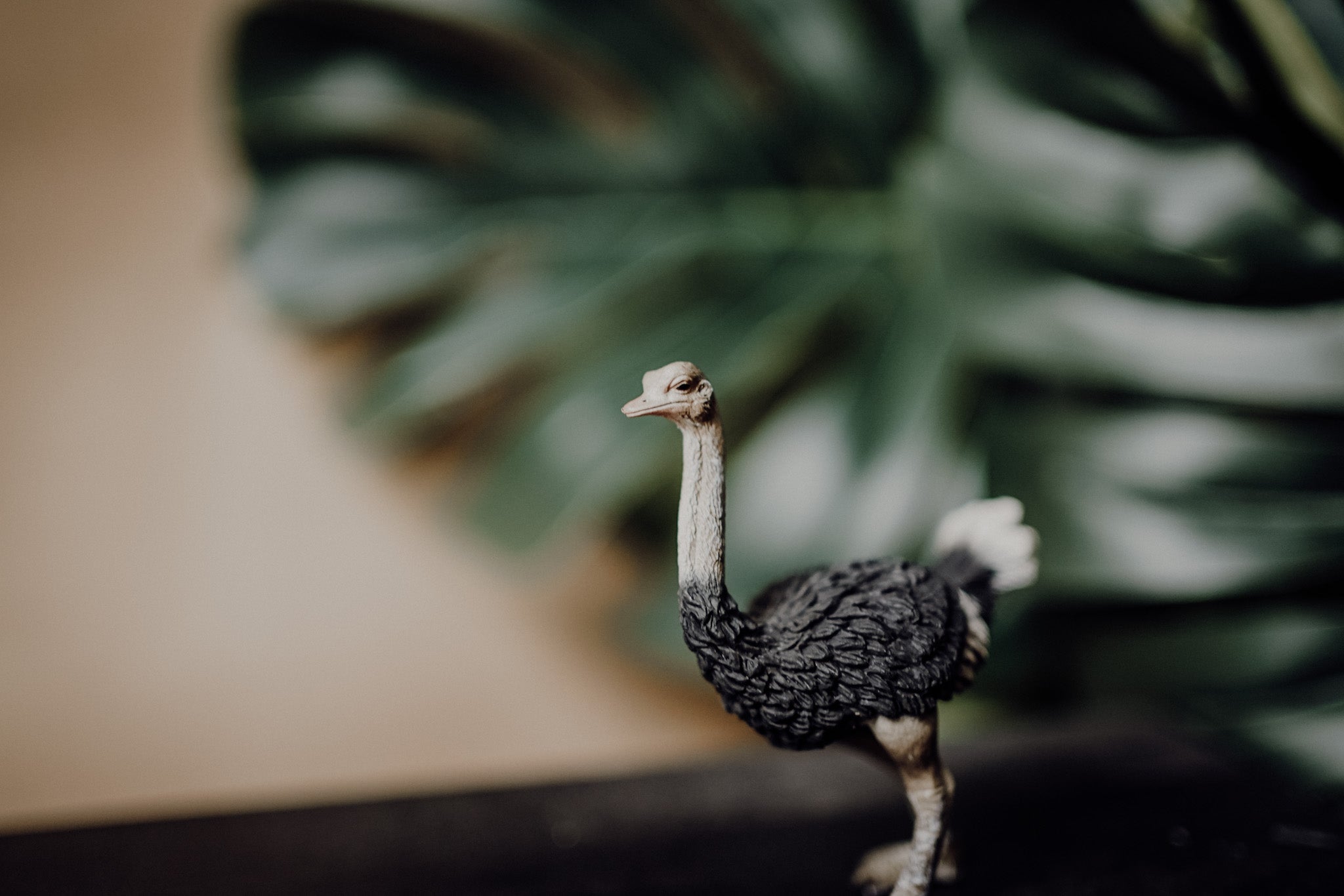 CollectA Figurine -Ostrich - The Little Je'EL.Co