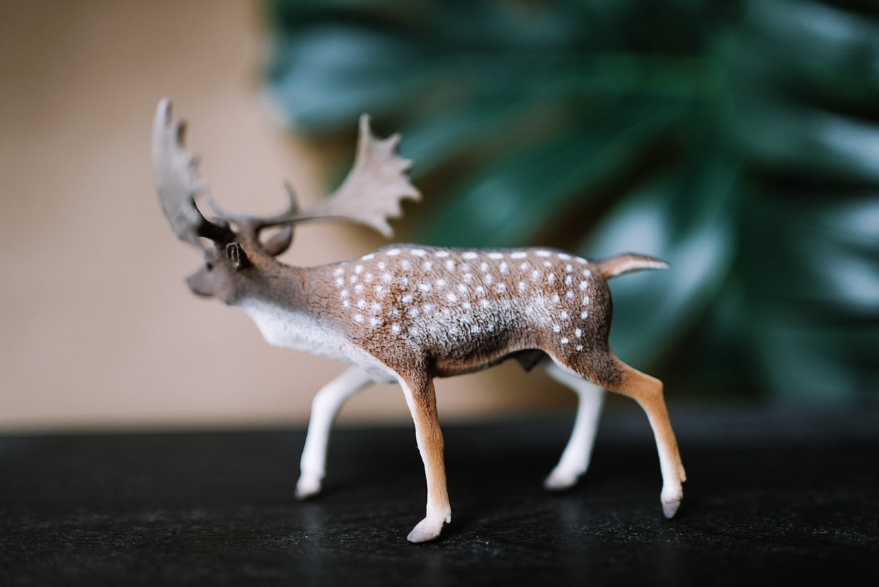 CollectA Figurine - Fallow Deer - The Little Je'EL.Co