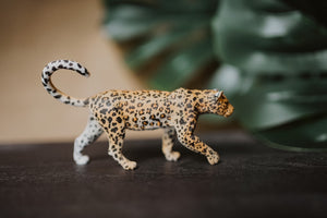 CollectA Figurine - African Leopard - The Little Je'EL.Co