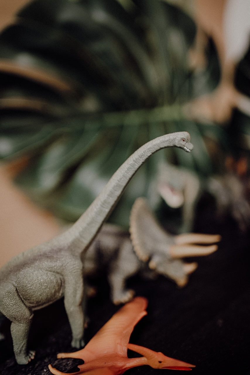 CollectA Figurines - Dinosaurs Set (5 pcs) - The Little Je'EL.Co