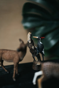 CollectA Figurines - Woodland Set (9 pcs) - The Little Je'EL.Co