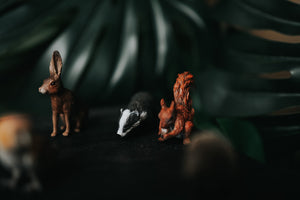 CollectA Figurines - Woodland Set (9 pcs) - The Little Je'EL.Co
