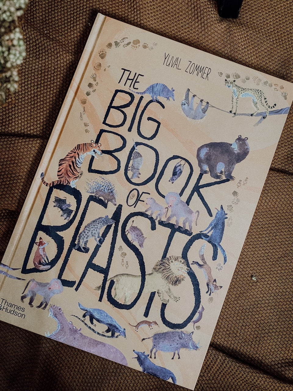 The Big Books Series - The Little Je'EL.Co