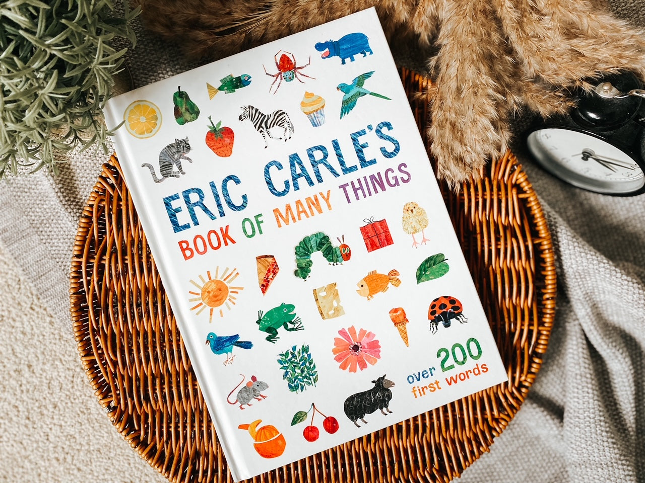 Eric Carle's Book of Many Things (Over 200 First Words)