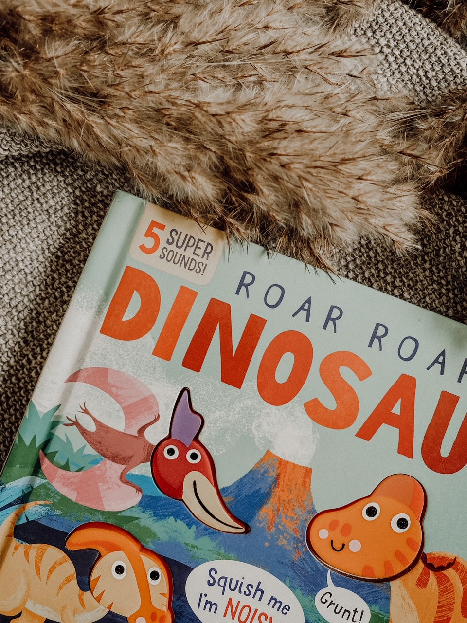 Roar! Roar! Dinosaur (Squishy Sounds)