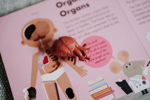 The Human Organs TOOB®