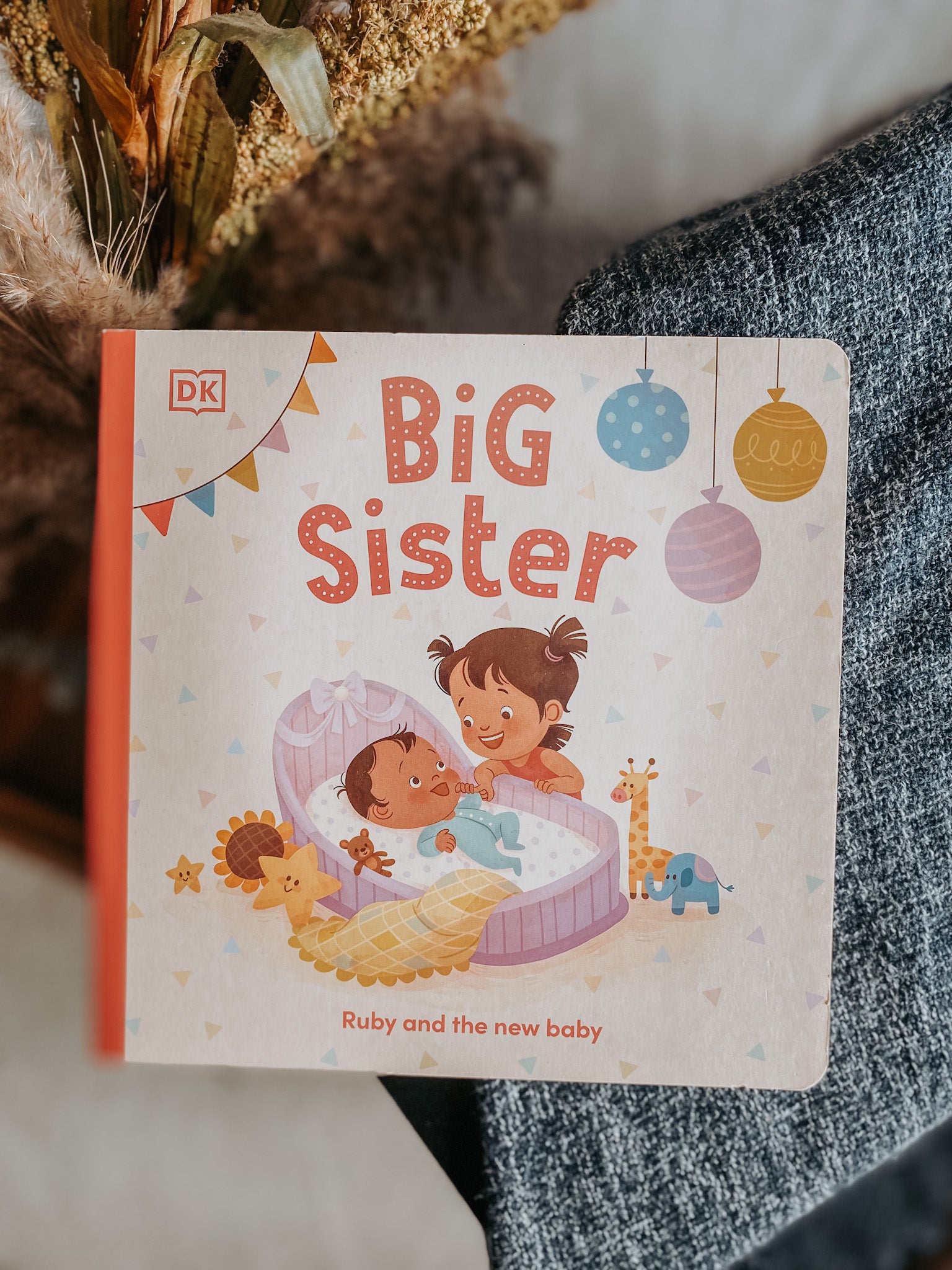 Big Sister : Ruby and the New Baby