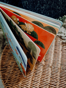 Make and Play Series Books