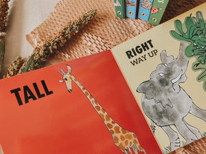 Roald Dahl's Book Series - The Little Je'EL.Co