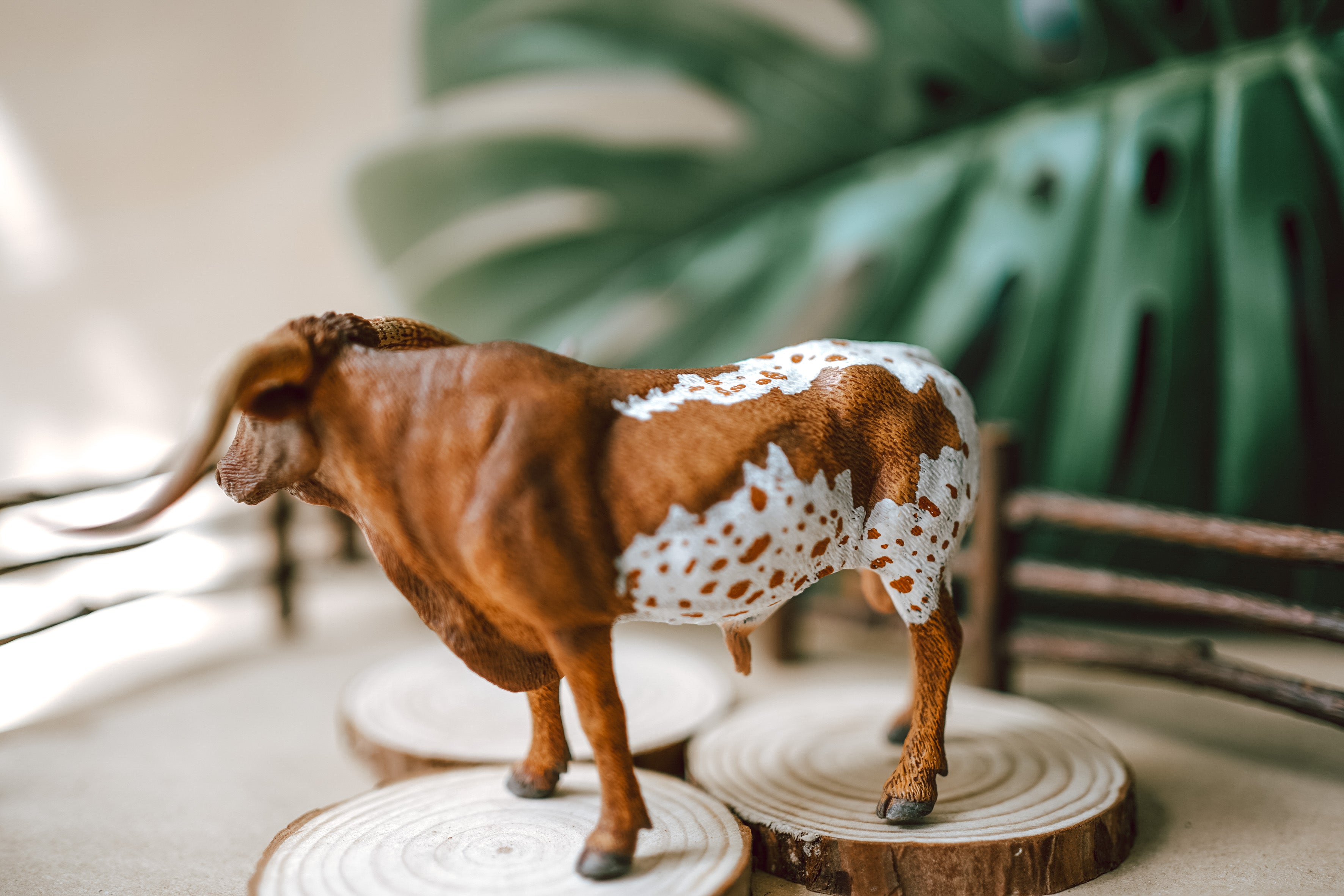 CollectA Figurine - Texas Long Horn Bull