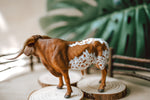 Load image into Gallery viewer, CollectA Figurine - Texas Long Horn Bull
