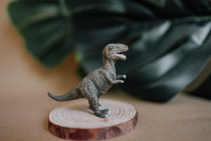 CollectA Figurine - Tyrannosaurus Rex Baby