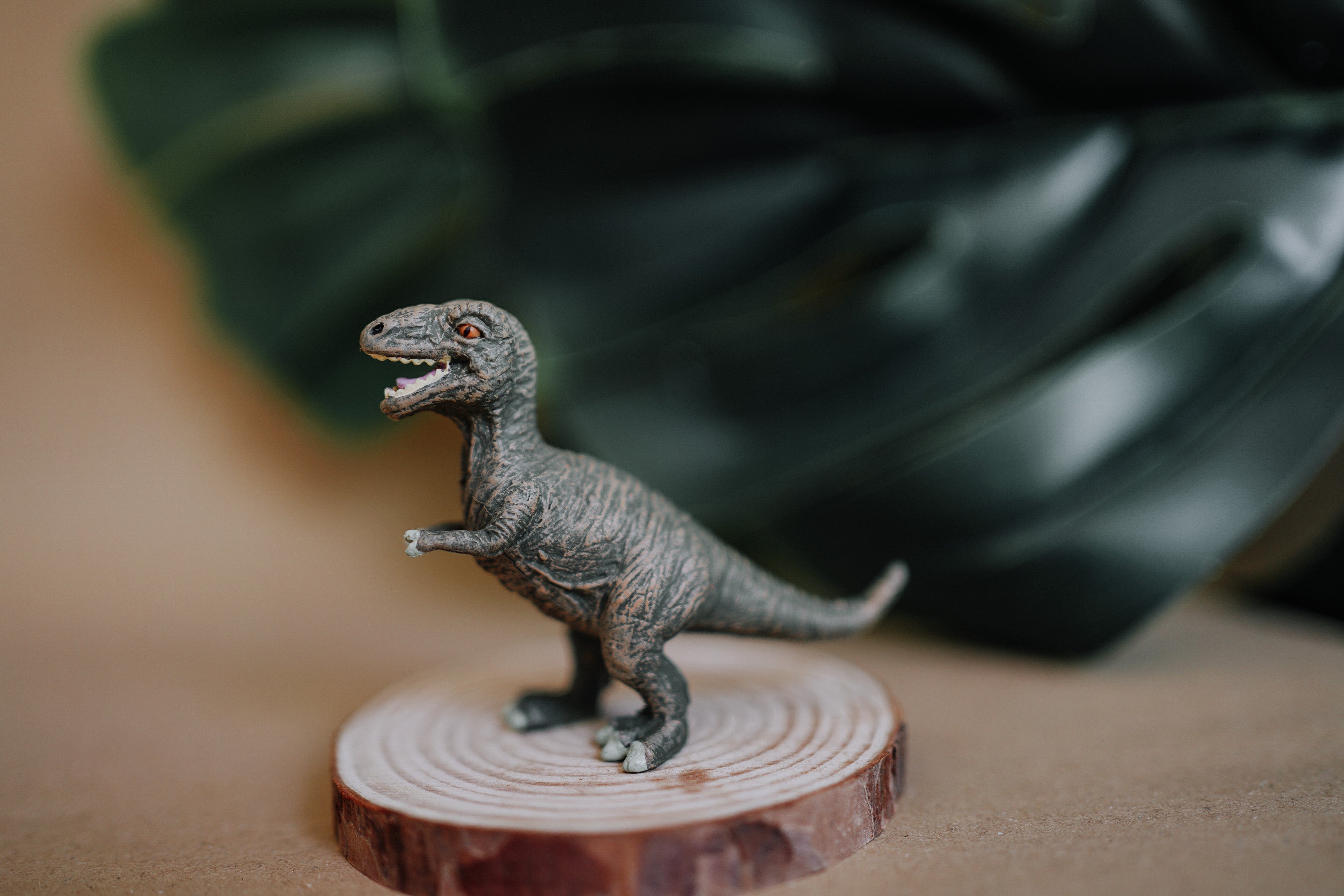 CollectA Figurine - Tyrannosaurus Rex Baby